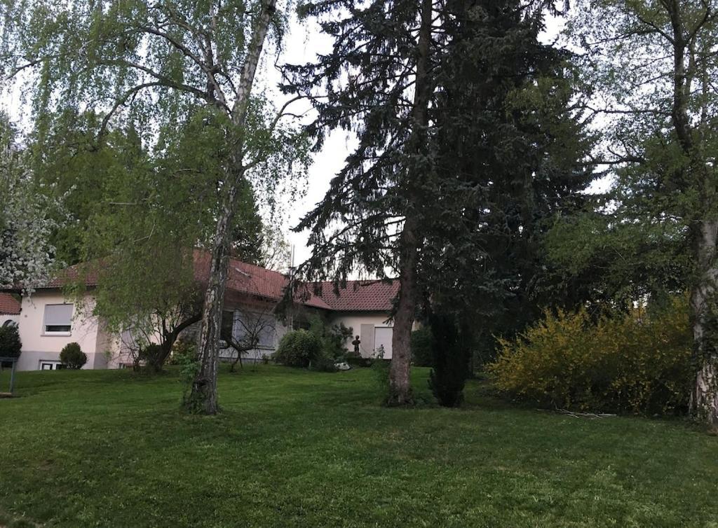 Schoene Ferienwohnung 2,5 Zimmer In Stadtnaehe Mit Eigenem Hofgarten Balingen Εξωτερικό φωτογραφία