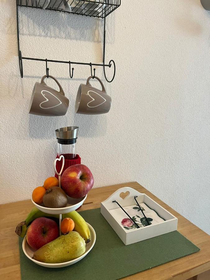 Schoene Ferienwohnung 2,5 Zimmer In Stadtnaehe Mit Eigenem Hofgarten Balingen Εξωτερικό φωτογραφία